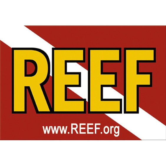 REEF Organization Member